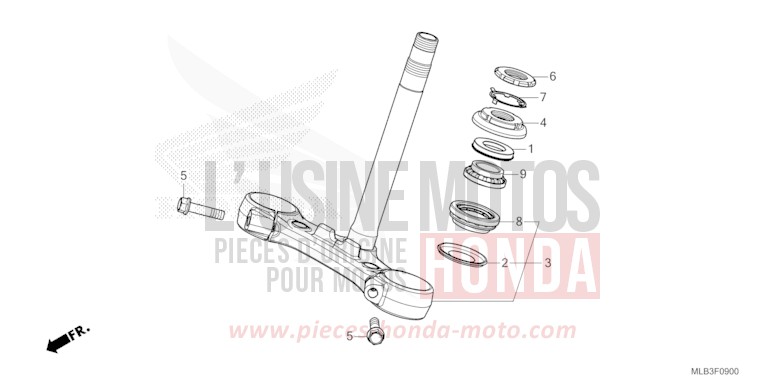 STEERING STEM for Hornet 750 MAT GOLDFINCH YELLOW (Y242) from 2023